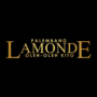 Lowongan Palembang Lamonde