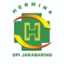 Lowongan RSU Hermina OPI Jakabaring