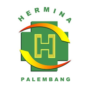 Lowongan RSU Hermina Palembang_3
